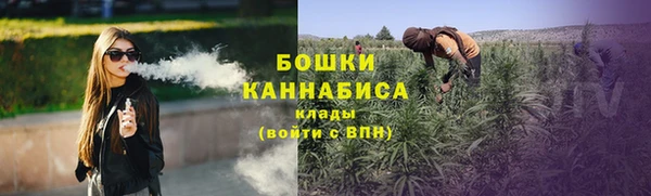 ПСИЛОЦИБИНОВЫЕ ГРИБЫ Горнозаводск