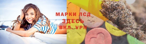 ПСИЛОЦИБИНОВЫЕ ГРИБЫ Горнозаводск