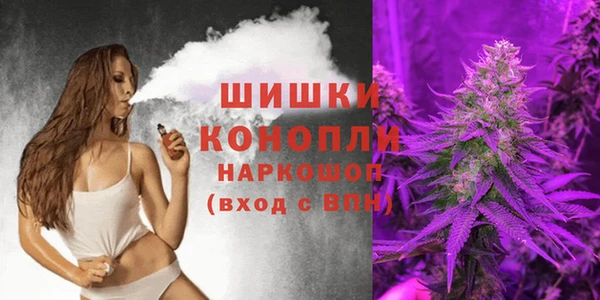 ПСИЛОЦИБИНОВЫЕ ГРИБЫ Горнозаводск
