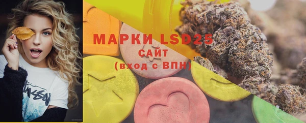 ПСИЛОЦИБИНОВЫЕ ГРИБЫ Горнозаводск