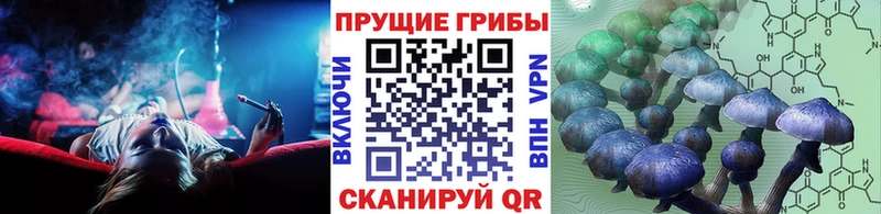 магазин продажи наркотиков  Череповец  Галлюциногенные грибы ЛСД 