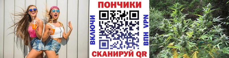 Марихуана план  купить закладку  Череповец 